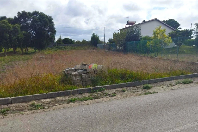 Terreno para Venda em Monte Real e Carvide Foto 6