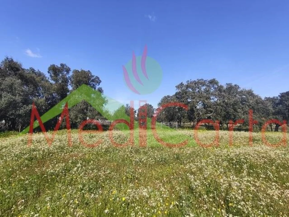 Moradia T4 para Venda em Vila Chã de Ourique Foto 8