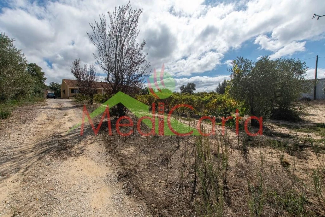 Moradia T4 para Venda em Vila Chã de Ourique Foto 31