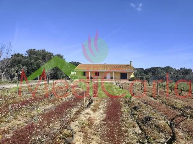 Moradia T4 para Venda em Vila Chã de Ourique Foto 7