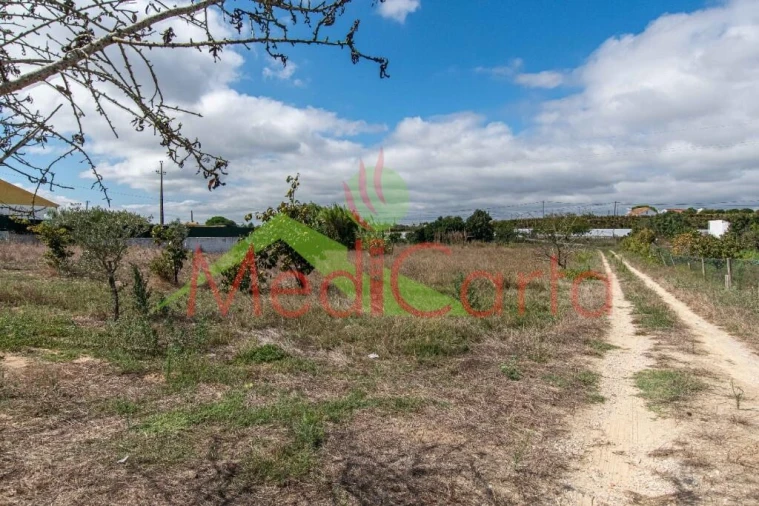 Moradia T4 para Venda em Vila Chã de Ourique Foto 32