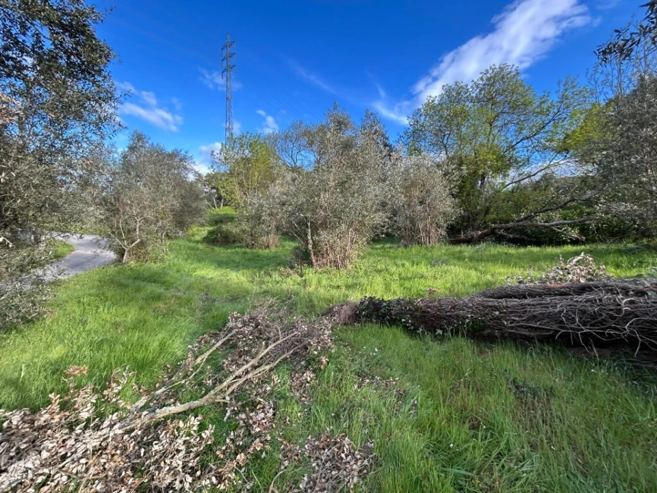 Terreno para Venda em São João Baptista e Santa Maria dos Olivais Foto 2