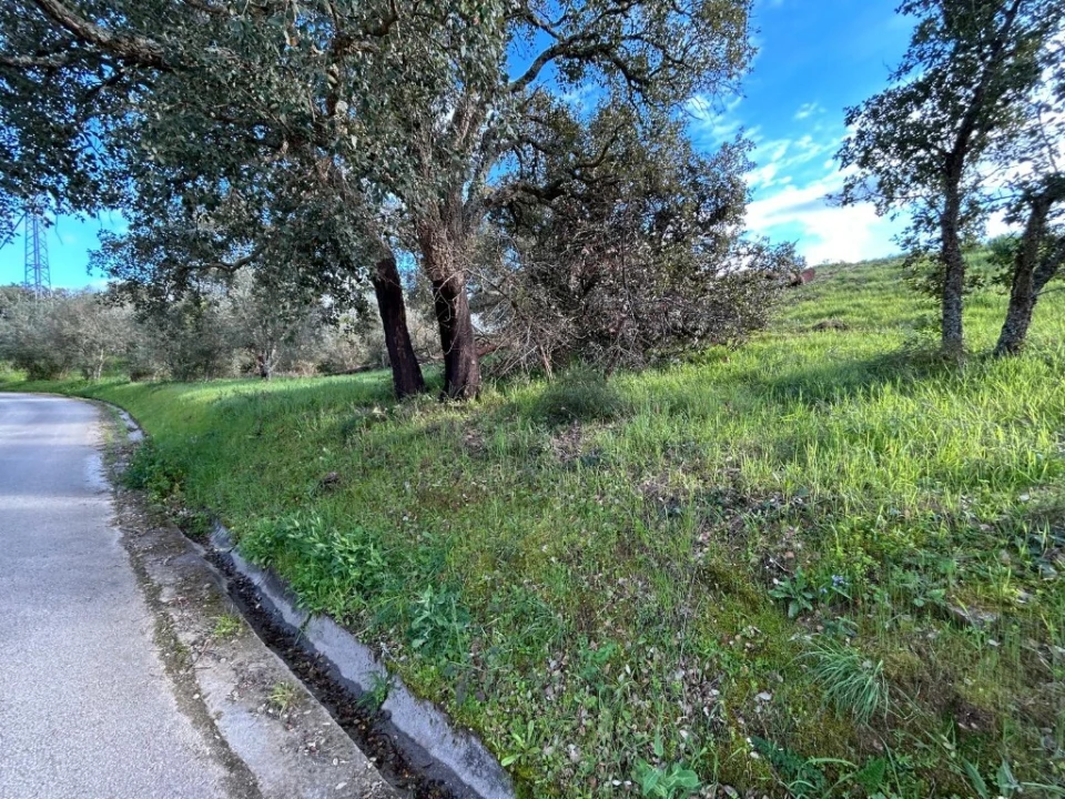 Terreno para Venda em São João Baptista e Santa Maria dos Olivais Foto 5