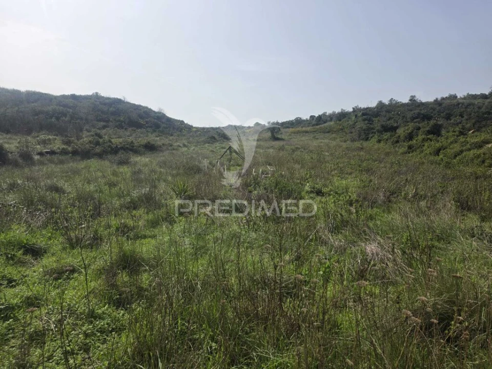 Terreno para Venda em Arranho Foto 9