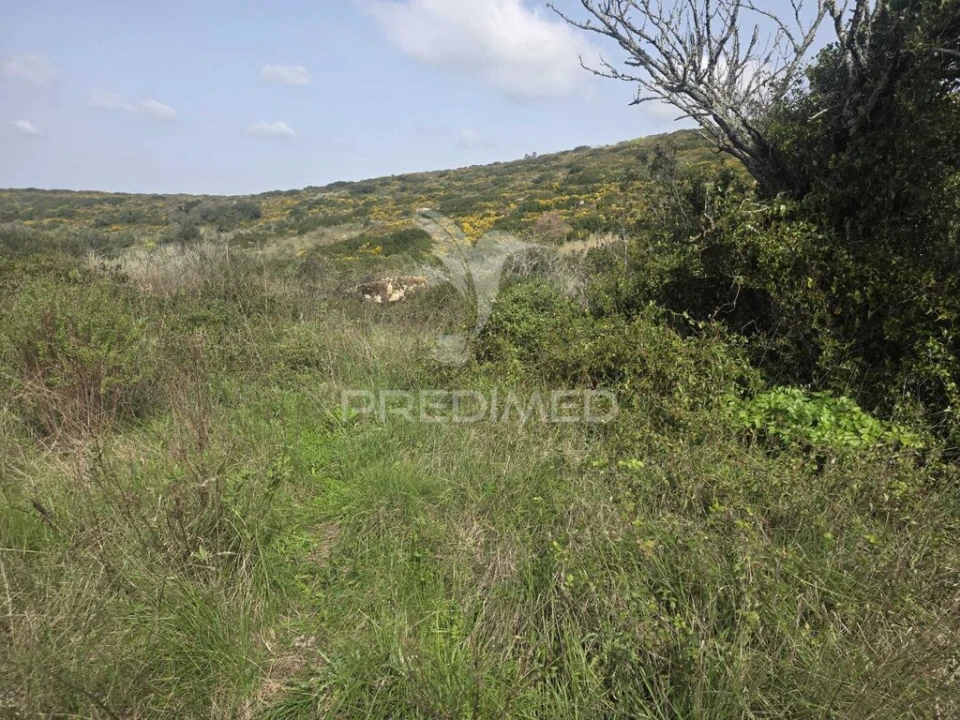 Terreno para Venda em Arranho Foto 2