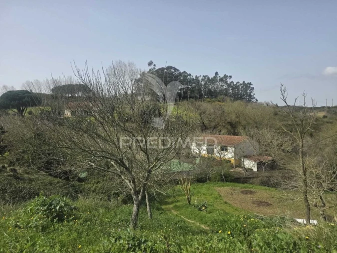 Terreno para Venda em Arranho Foto 3