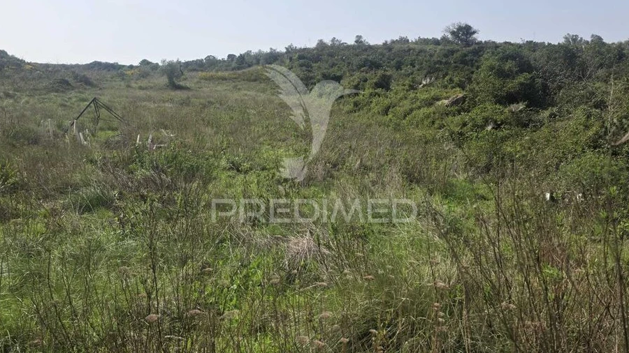 Terreno para Venda em Arranho