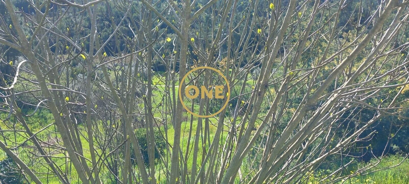 Moradia T3 para Venda em Asseiceira Foto 25