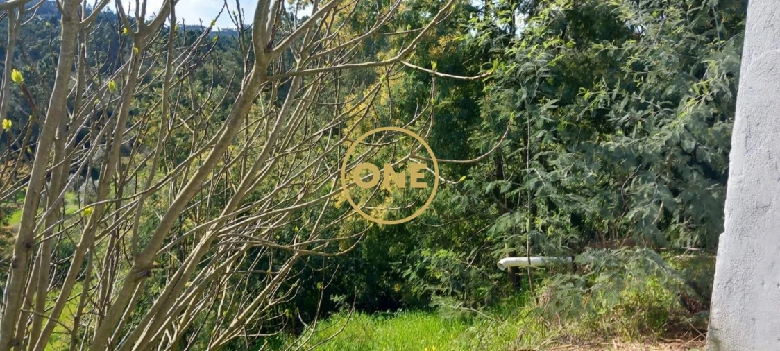 Moradia T3 para Venda em Asseiceira Foto 26