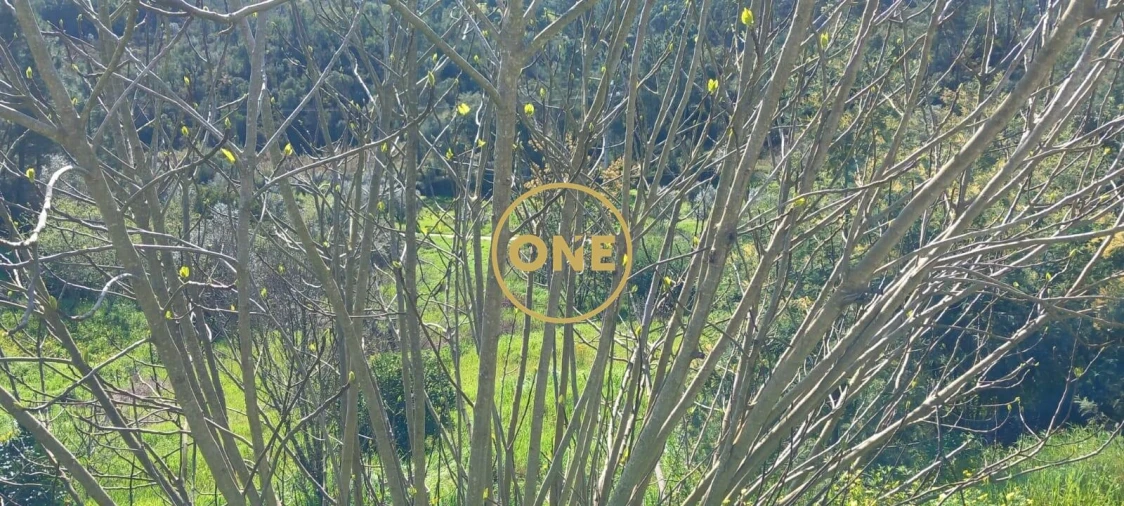 Moradia T3 para Venda em Asseiceira Foto 25