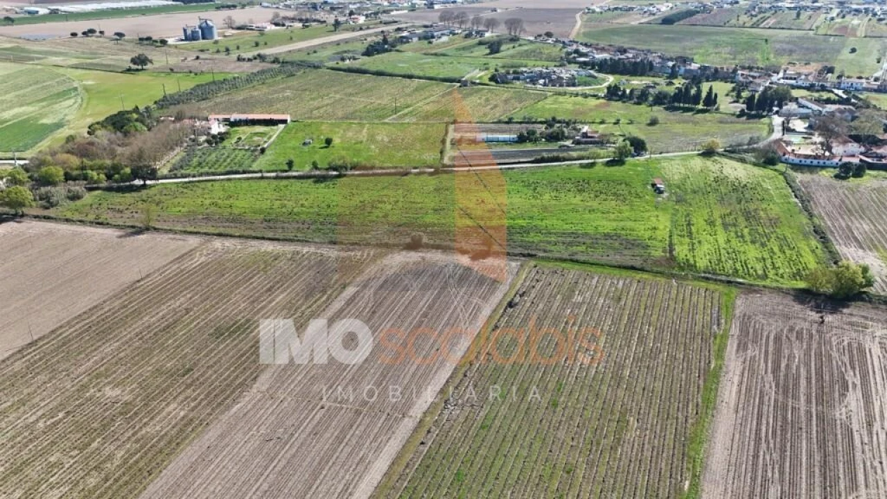 Terreno para Venda em Alpiarça Foto 7