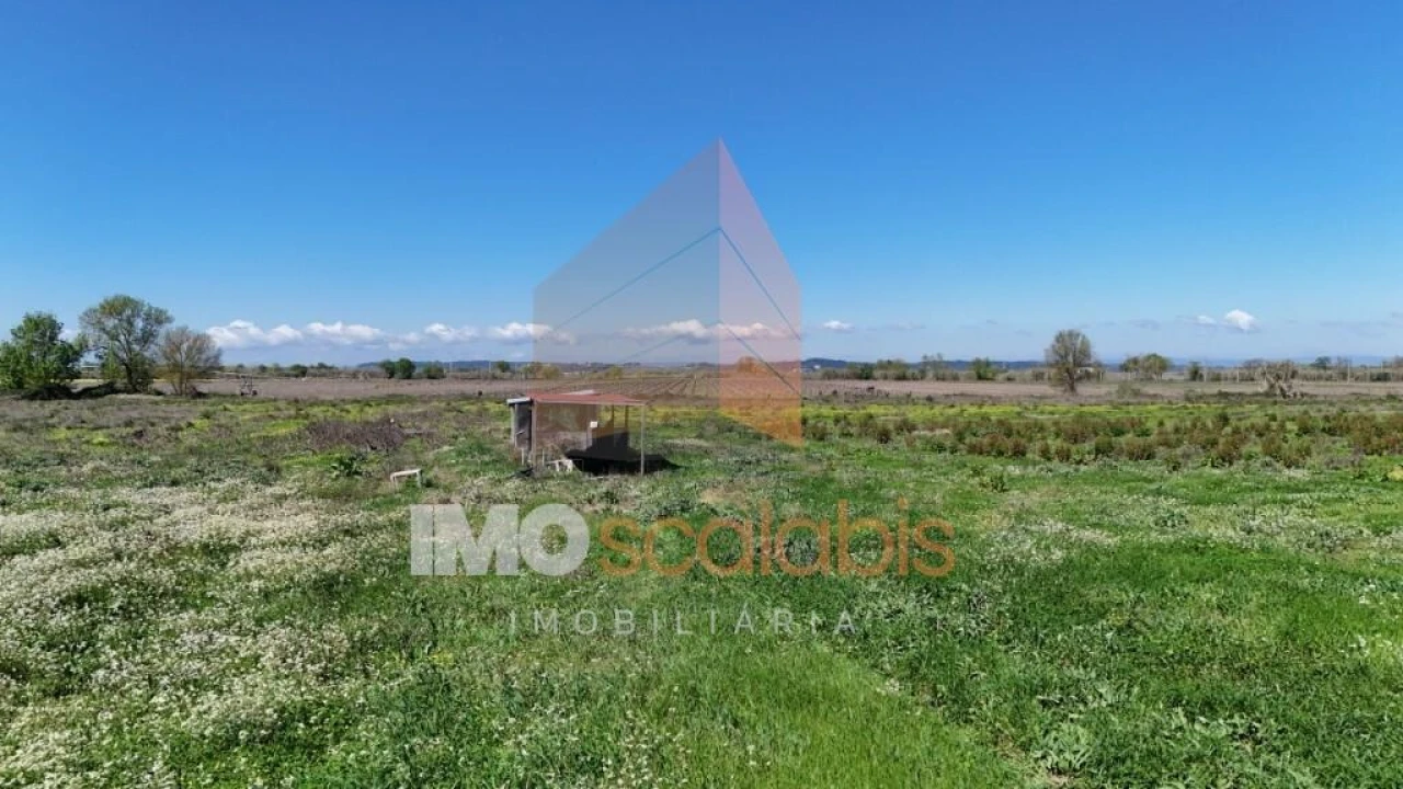 Terreno para Venda em Alpiarça Foto 12