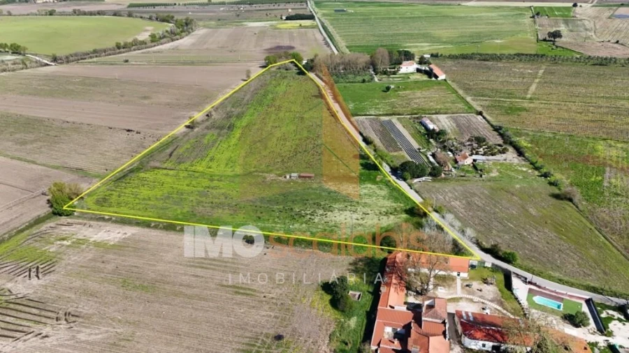 Terreno para Venda em Alpiarça Foto 2