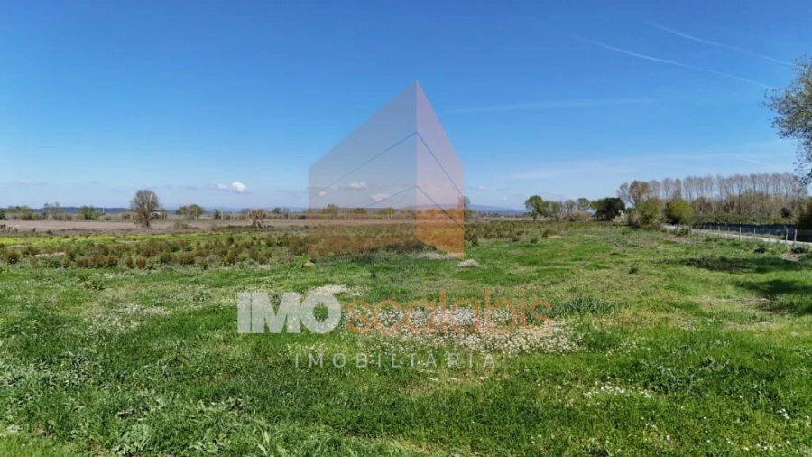 Terreno para Venda em Alpiarça Foto 11