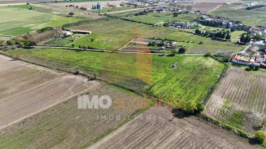 Terreno para Venda em Alpiarça Foto 6