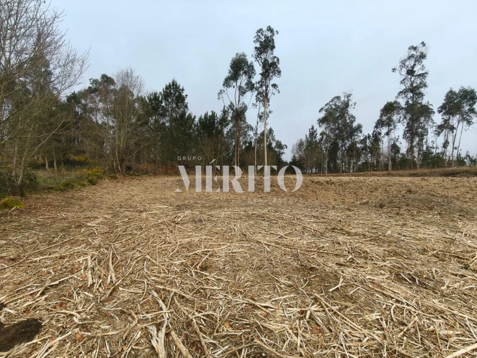 Terreno para Venda em Cossourado Foto 3