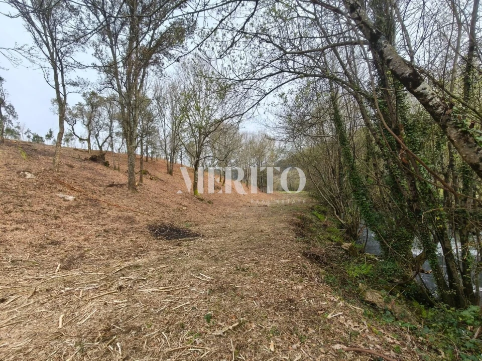 Terreno para Venda em Cossourado Foto 5