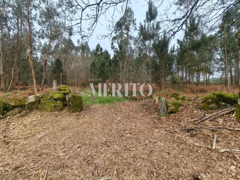 Terreno para Venda em Cossourado Foto 2