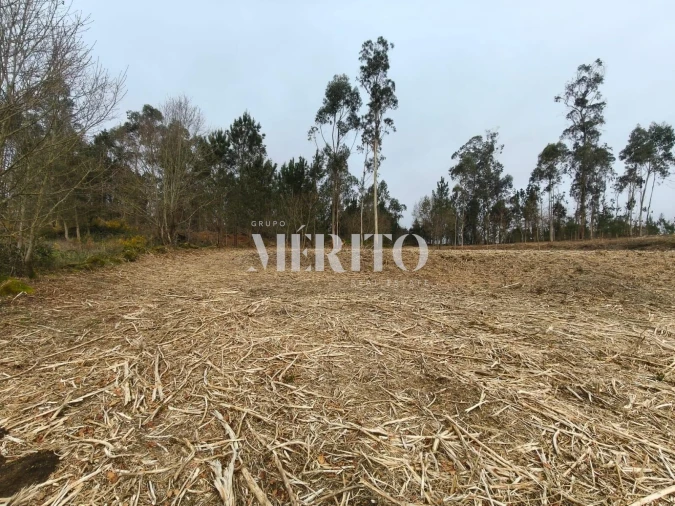 Terreno para Venda em Cossourado Foto 3