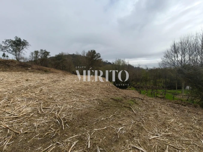 Terreno para Venda em Cossourado Foto 4