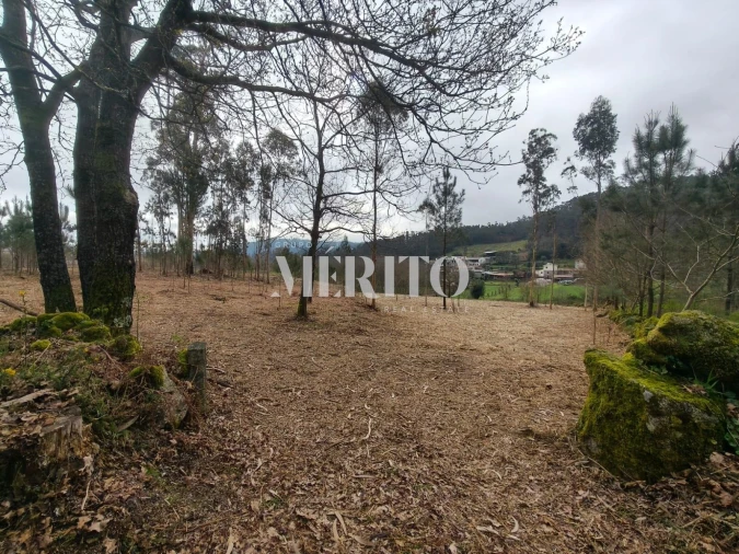 Terreno para Venda em Cossourado Foto 1