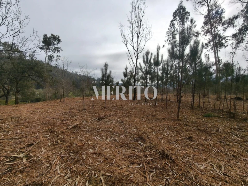 Terreno para Venda em Cossourado Foto 15