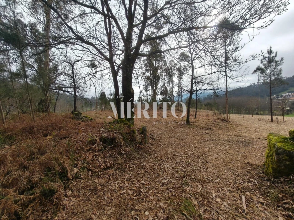 Terreno para Venda em Cossourado Foto 17