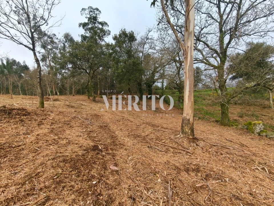 Terreno para Venda em Cossourado Foto 14
