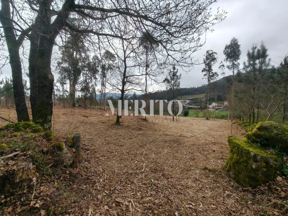 Terreno para Venda em Cossourado Foto 1