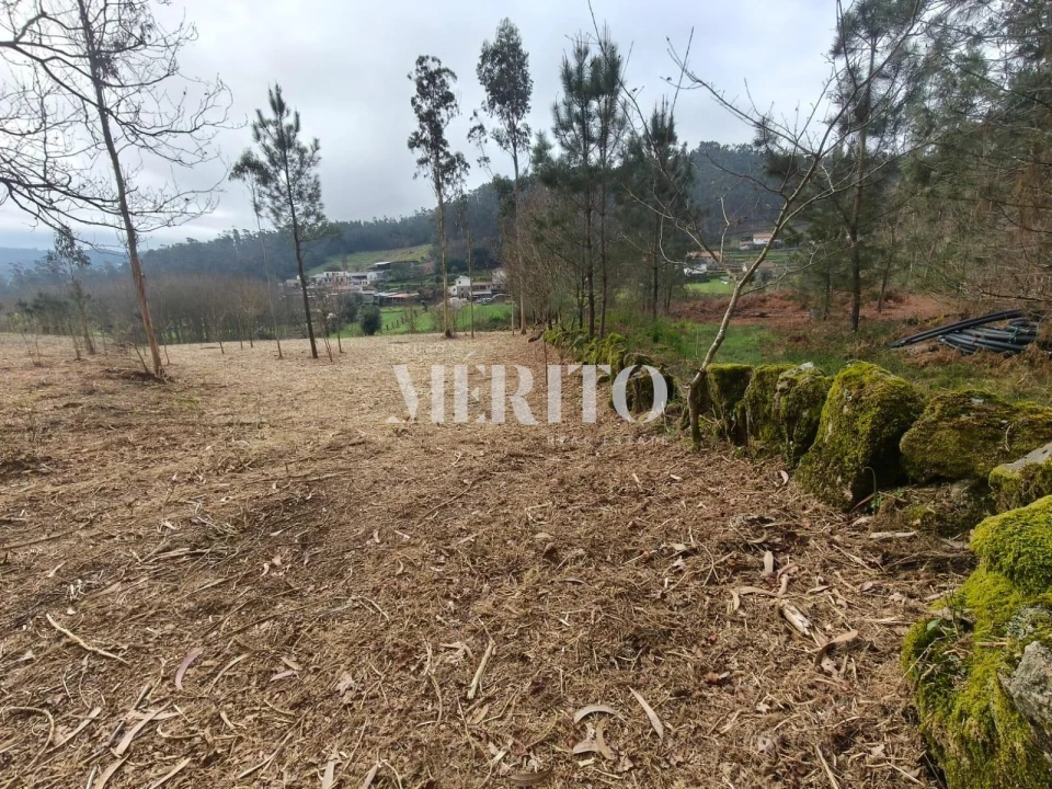 Terreno para Venda em Cossourado Foto 16