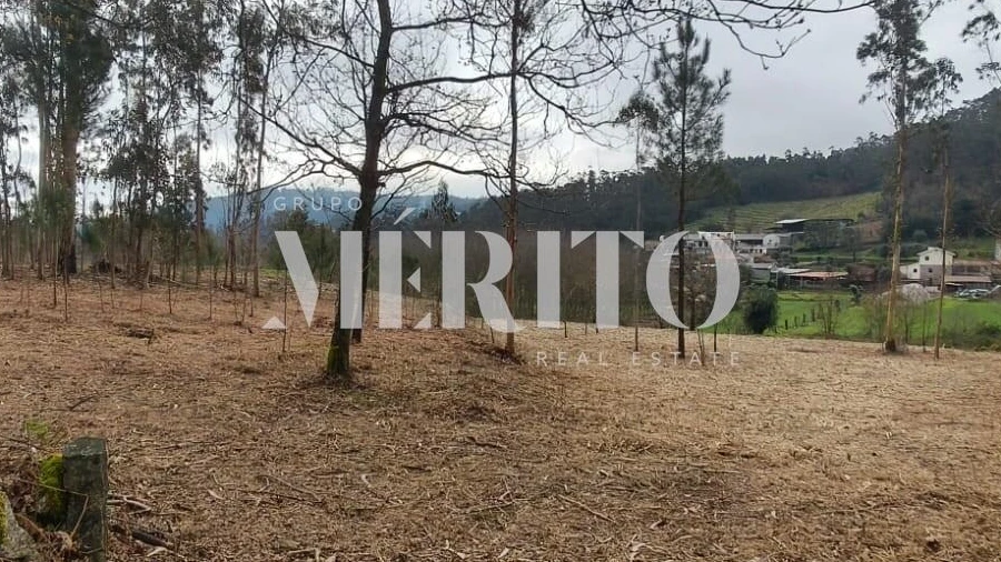Terreno para Venda em Cossourado
