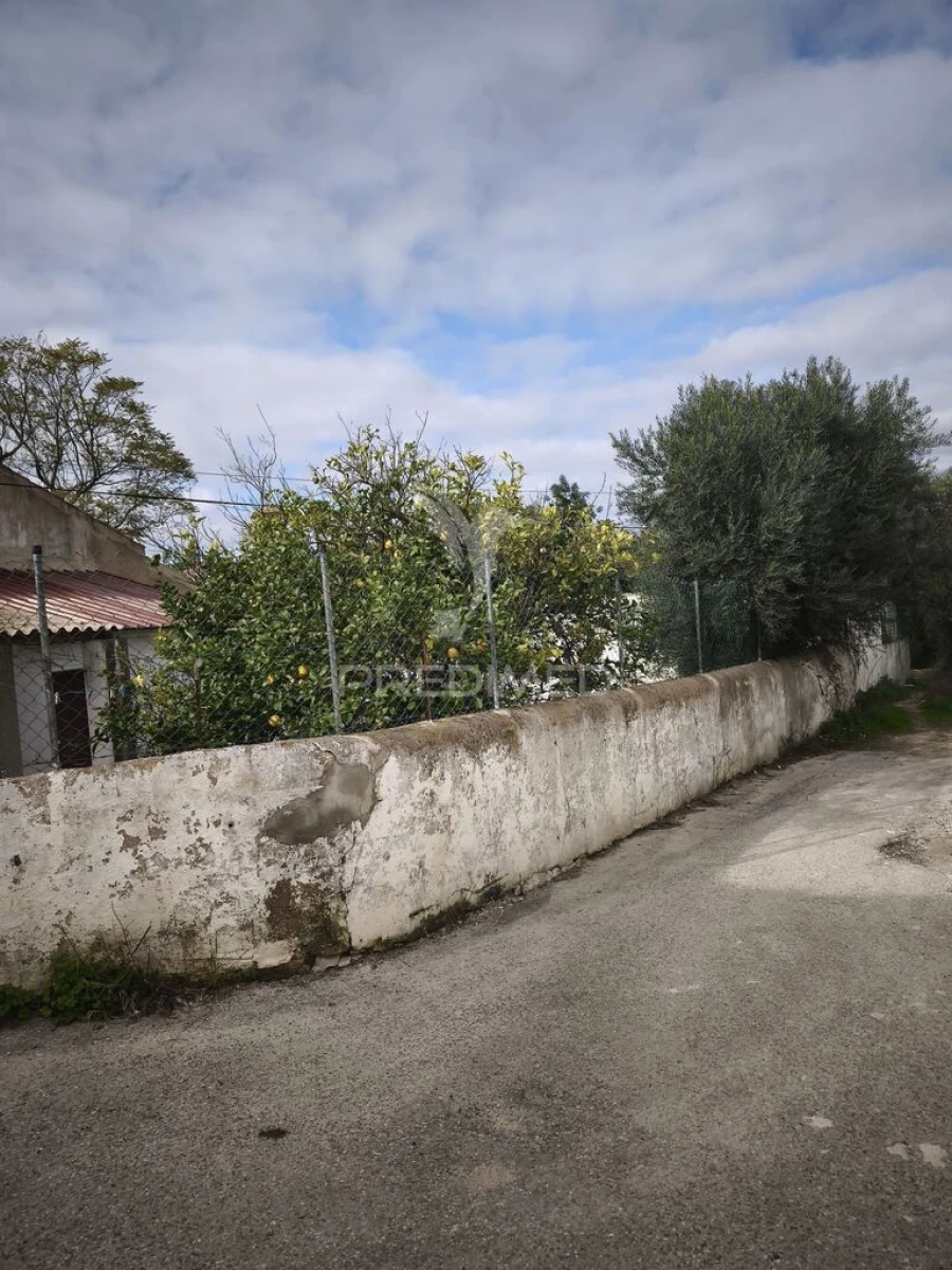 Terreno para Venda em Paderne Foto 3