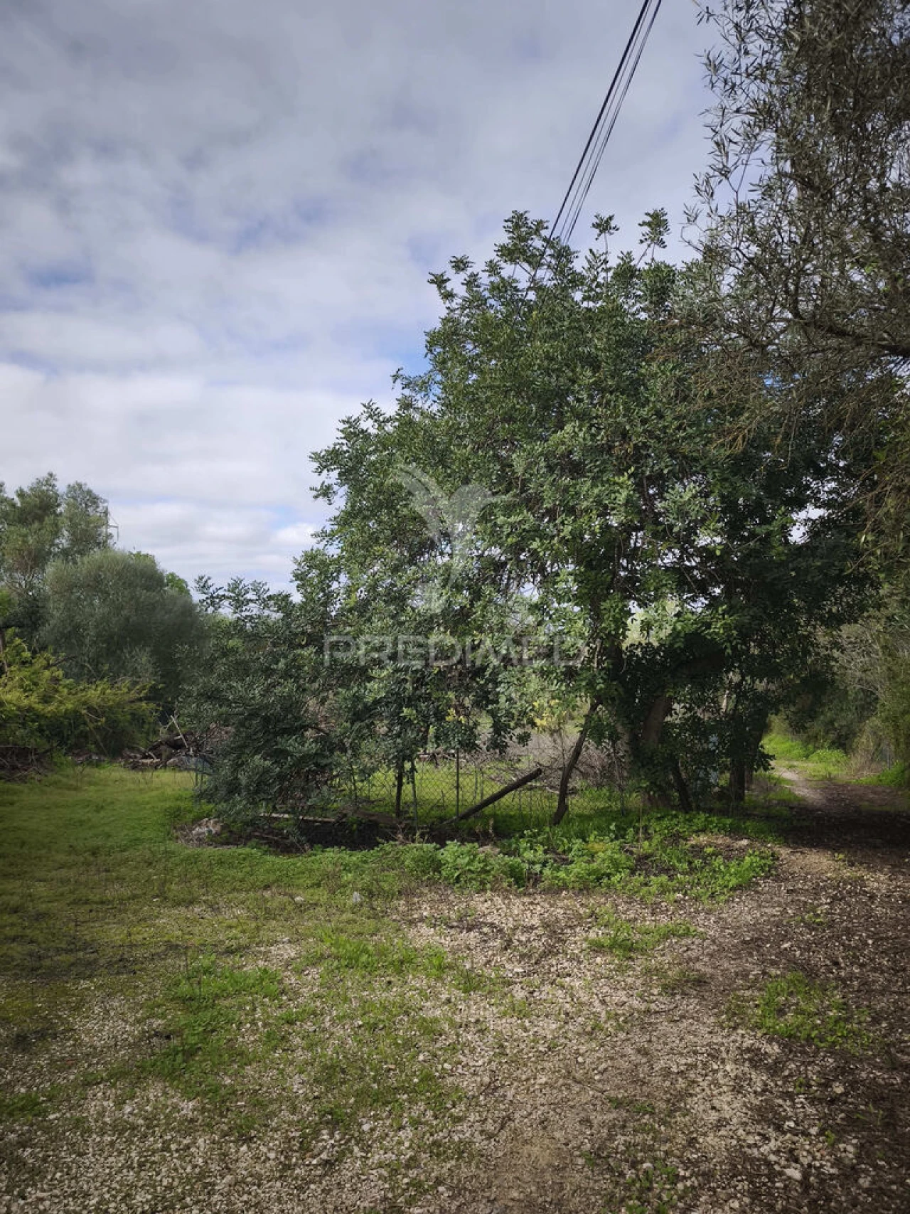 Terreno para Venda em Paderne Foto 1