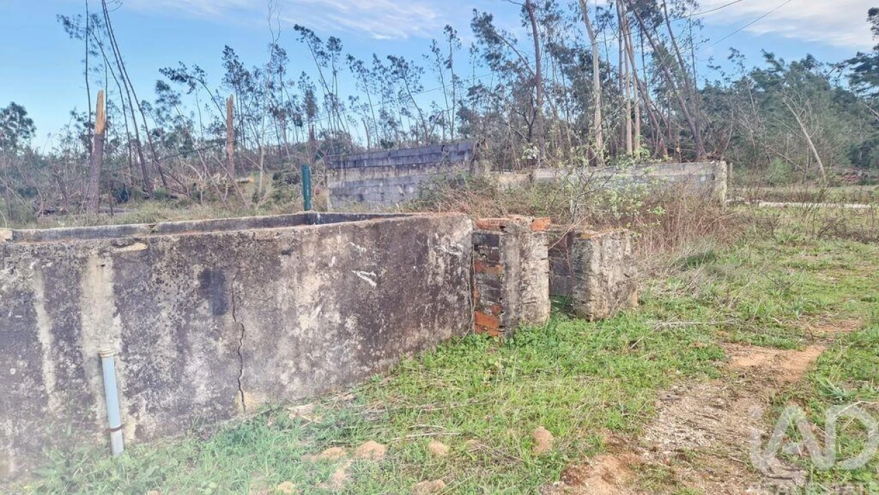 Moradia T3 para Venda em Caxarias Foto 27