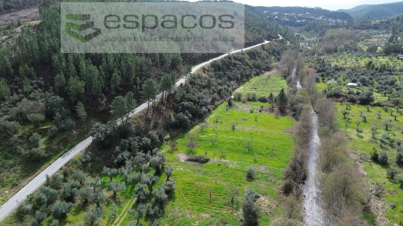 Terreno Agricola ou Rústico para Venda em Sarzedas Foto 1