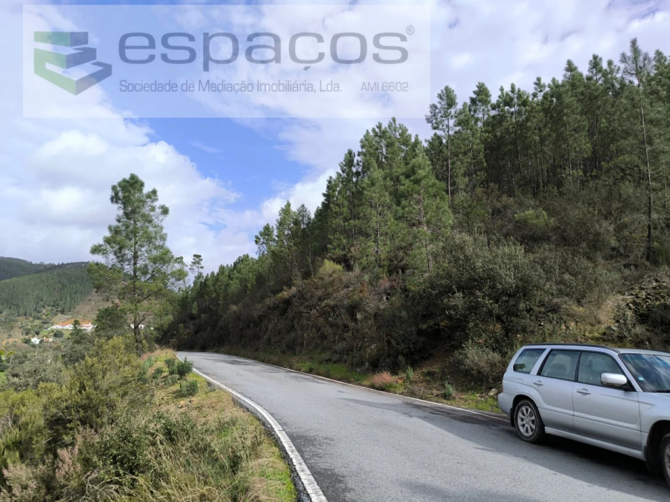 Terreno Agricola ou Rústico para Venda em Sarzedas Foto 8