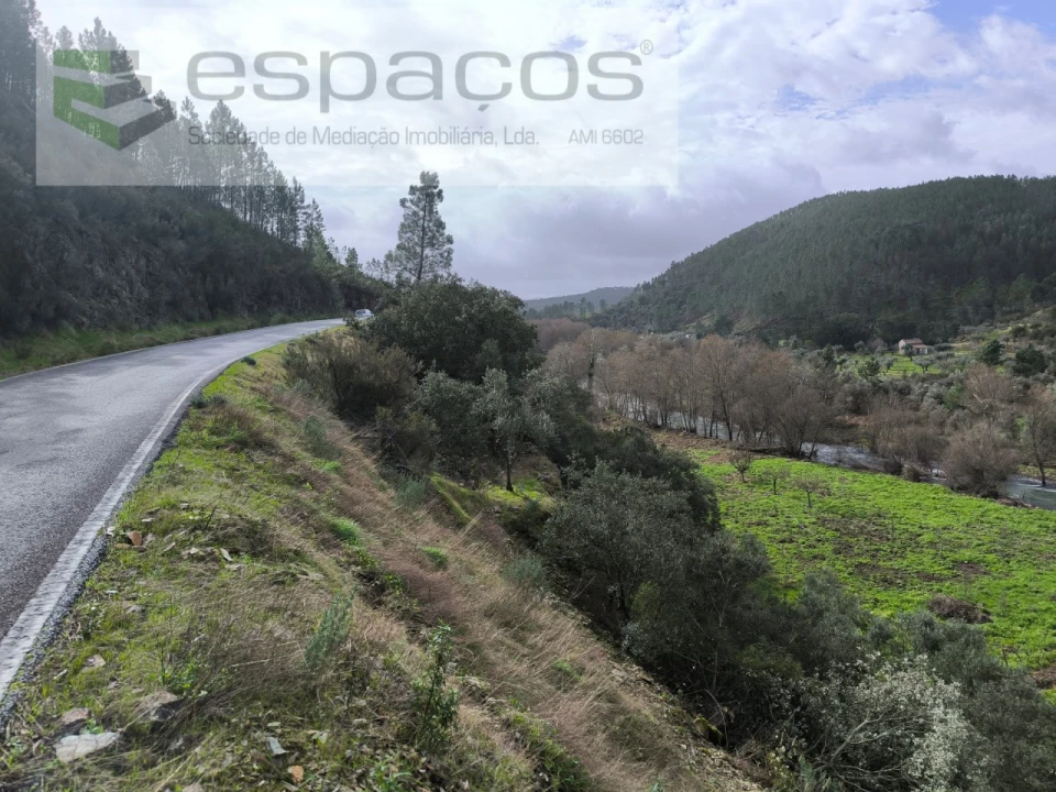 Terreno Agricola ou Rústico para Venda em Sarzedas Foto 11