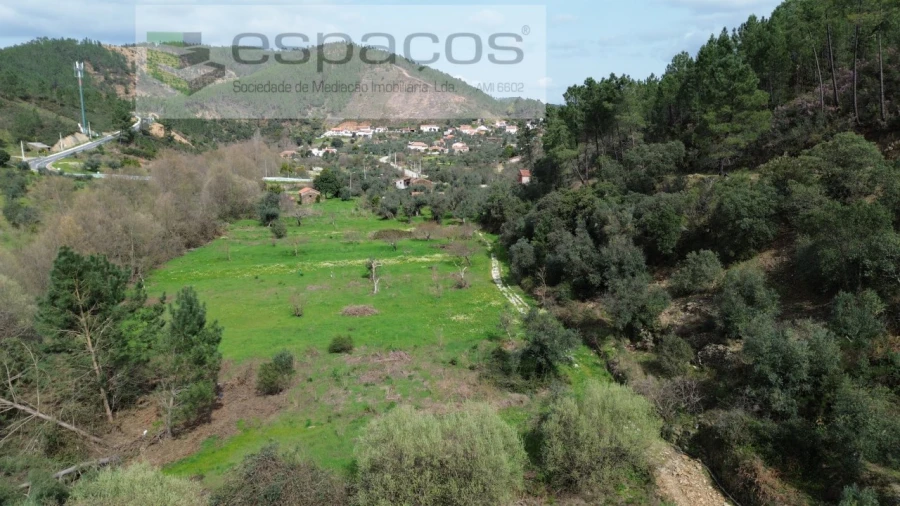 Terreno Agricola ou Rústico para Venda em Sarzedas Foto 5