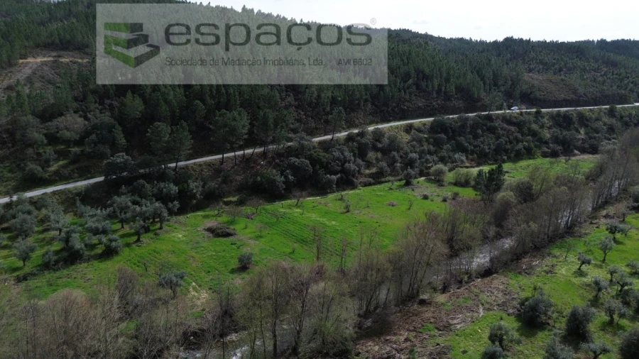 Terreno Agricola ou Rústico para Venda em Sarzedas Foto 6