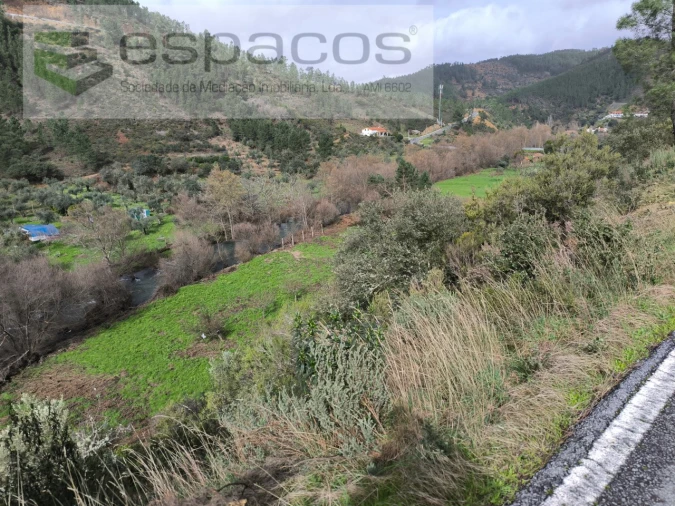 Terreno Agricola ou Rústico para Venda em Sarzedas Foto 7