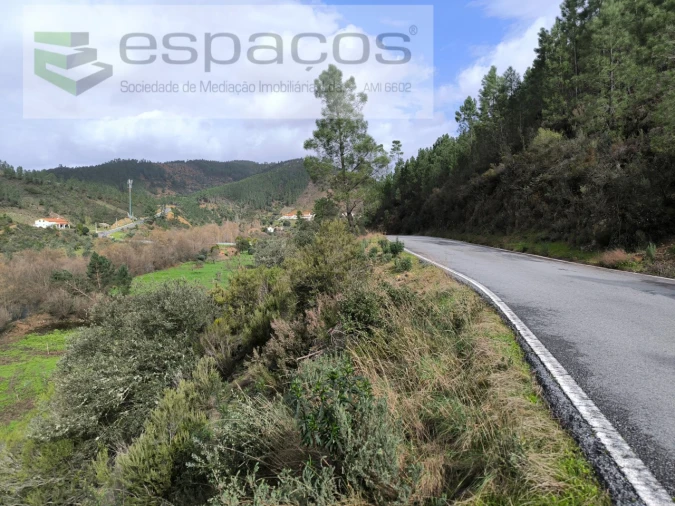 Terreno Agricola ou Rústico para Venda em Sarzedas Foto 9