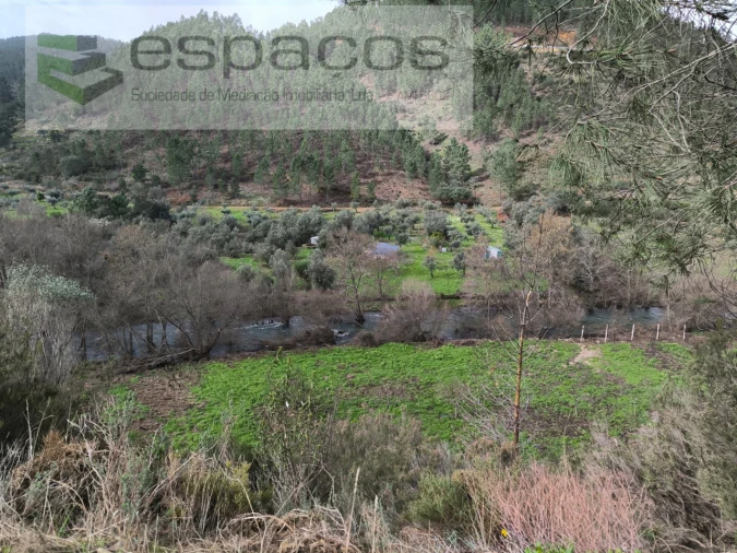 Terreno Agricola ou Rústico para Venda em Sarzedas Foto 10