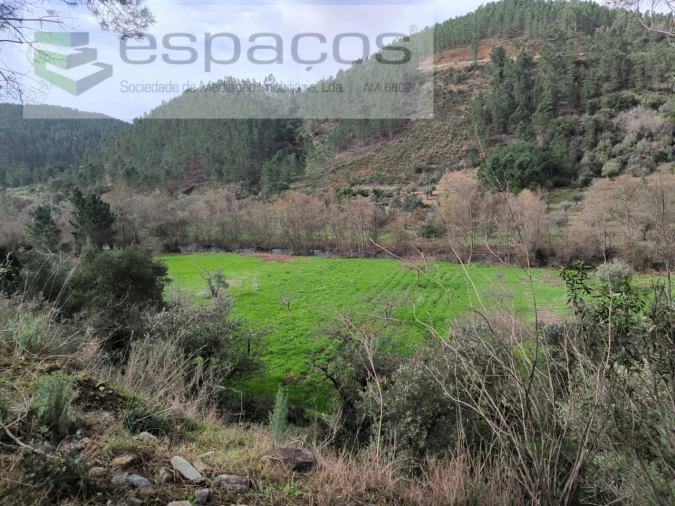 Terreno Agricola ou Rústico para Venda em Sarzedas Foto 13