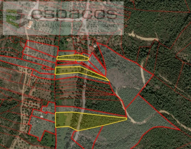 Terreno Agricola ou Rústico para Venda em Sarzedas Foto 15