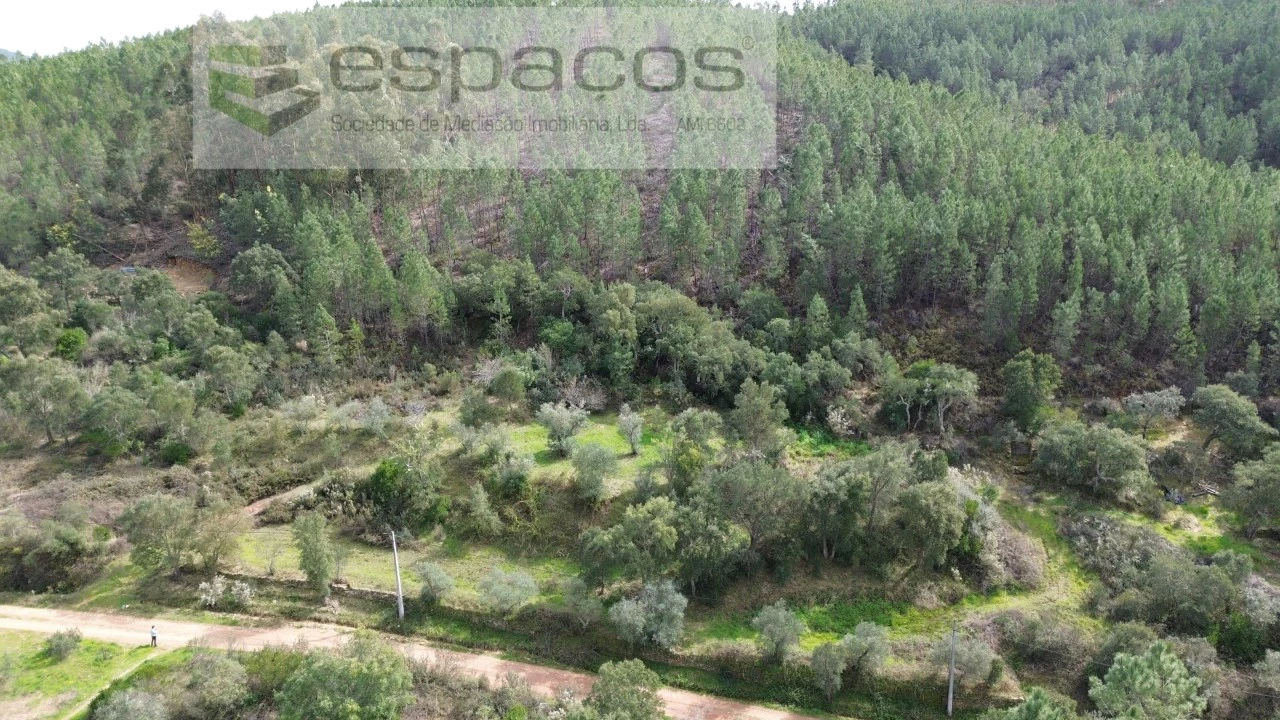 Terreno Agricola ou Rústico para Venda em Sarzedas Foto 2