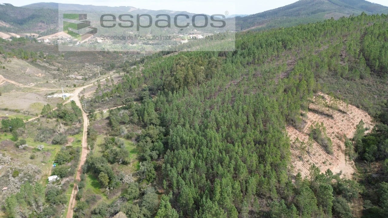 Terreno Agricola ou Rústico para Venda em Sarzedas Foto 4