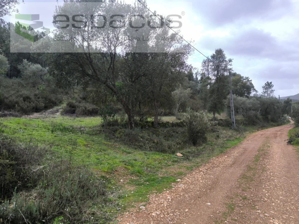 Terreno Agricola ou Rústico para Venda em Sarzedas Foto 6