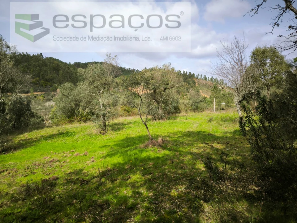 Terreno Agricola ou Rústico para Venda em Sarzedas Foto 8