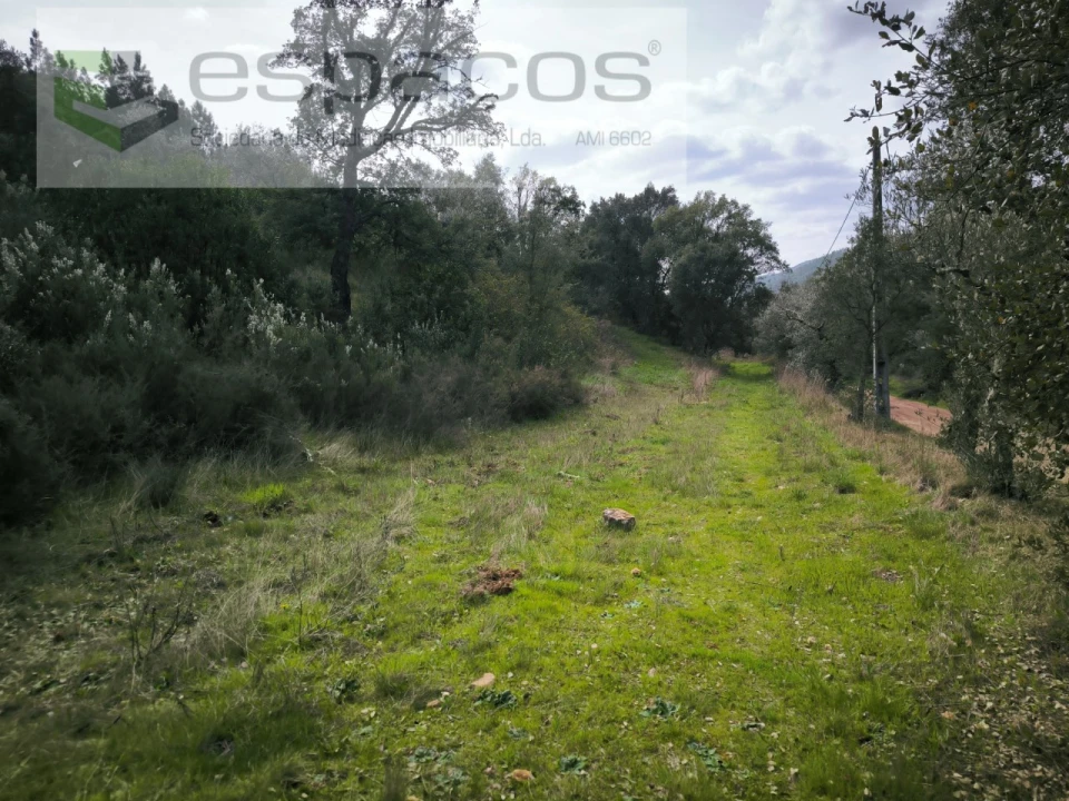 Terreno Agricola ou Rústico para Venda em Sarzedas Foto 9