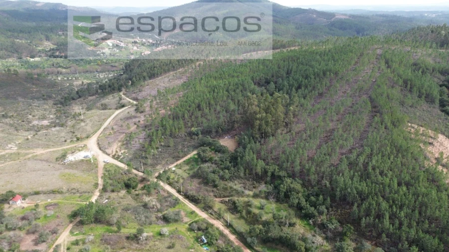 Terreno Agricola ou Rústico para Venda em Sarzedas Foto 1